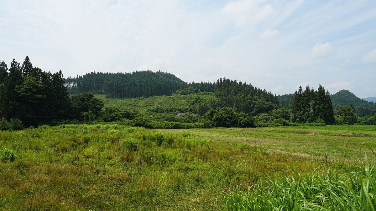 6月の耕作放棄地