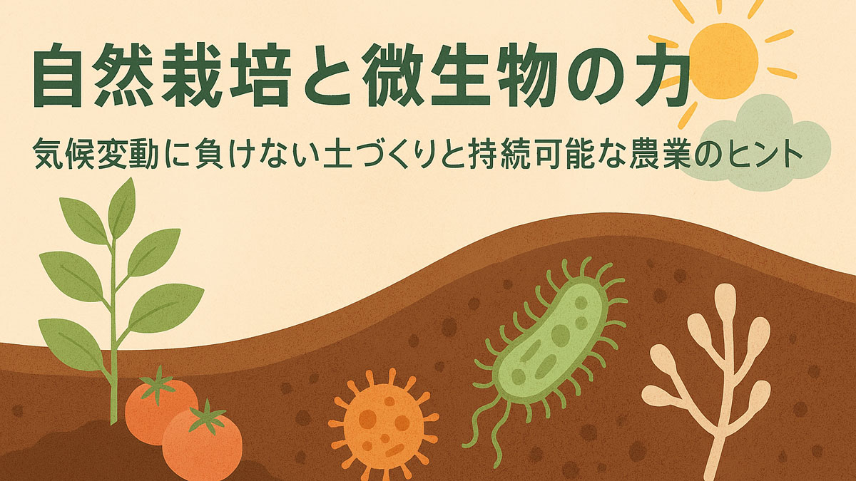 自然栽培における微生物と植物の共生を描いた優しいイラスト。トマトや緑の葉、土中の微生物が描かれ、気候変動にも強い畑のイメージを表現している。