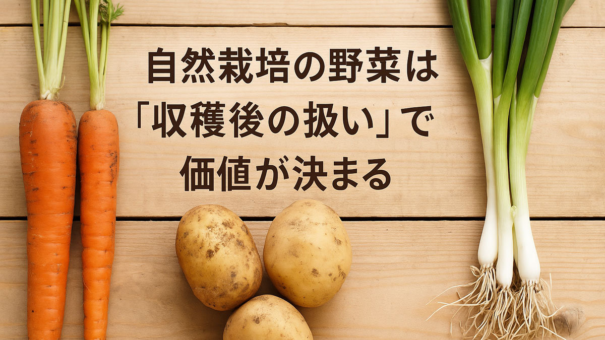 にんじん、じゃがいも、長ねぎなど自然栽培の新鮮な野菜が木の板の上に並び、中央に「自然栽培の野菜は『収穫後の扱い』で価値が決まる」という日本語テキストが配置された画像。素朴で温かみのあるナチュラルな雰囲気。