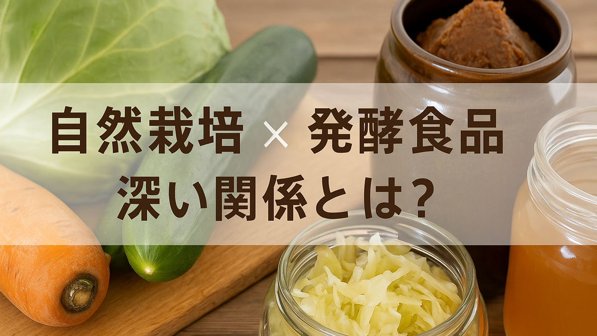 自然栽培野菜と発酵食品を並べて配置し、「自然栽培×発酵食品 深い関係とは？」という日本語テキストを重ねた、優しい雰囲気のナチュラル系画像。