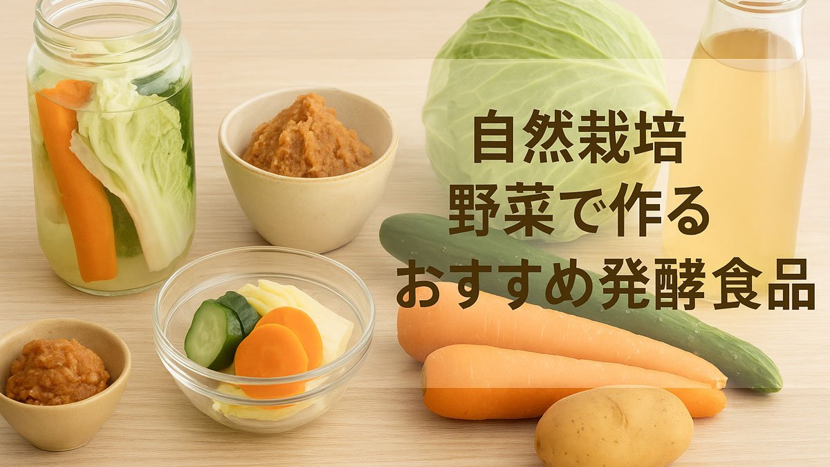 自然栽培野菜（にんじん、キャベツ、きゅうり）と、それらを使った味噌・漬物・酵母ドリンクを並べたやさしい印象の発酵食品イメージ画像。
