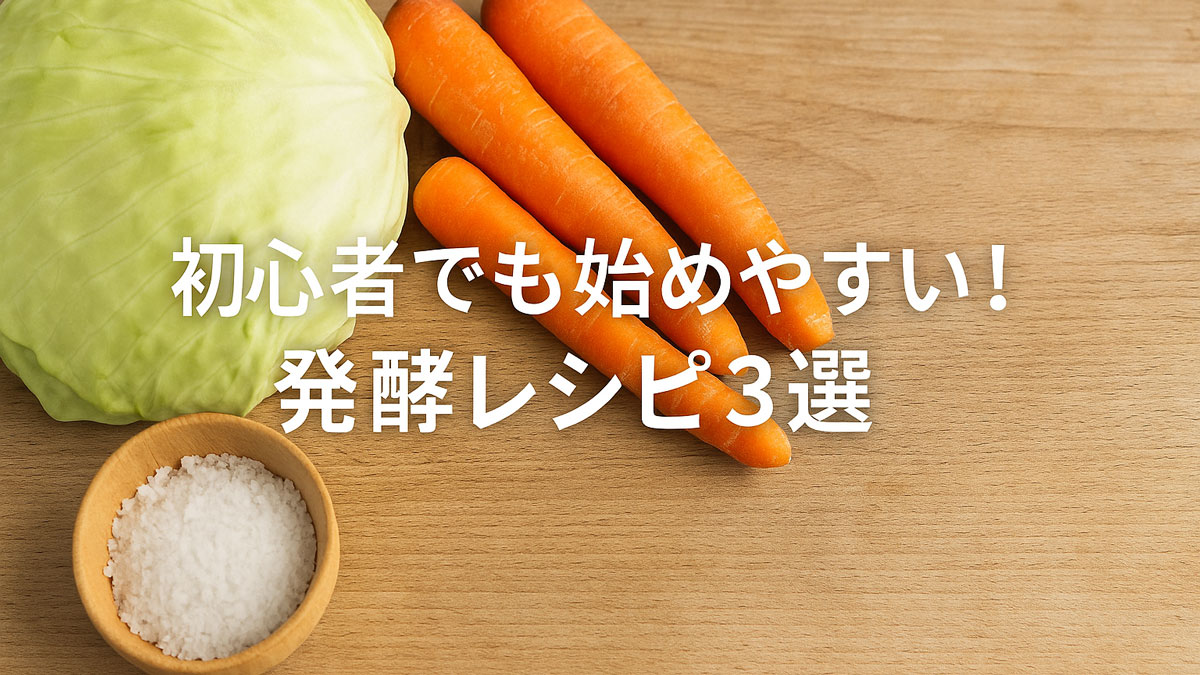 キャベツ・にんじん・粗塩を木の台に並べ、「初心者でも始めやすい！発酵レシピ3選」の日本語テキストを重ねた、自然でやさしい雰囲気の発酵入門イメージ。