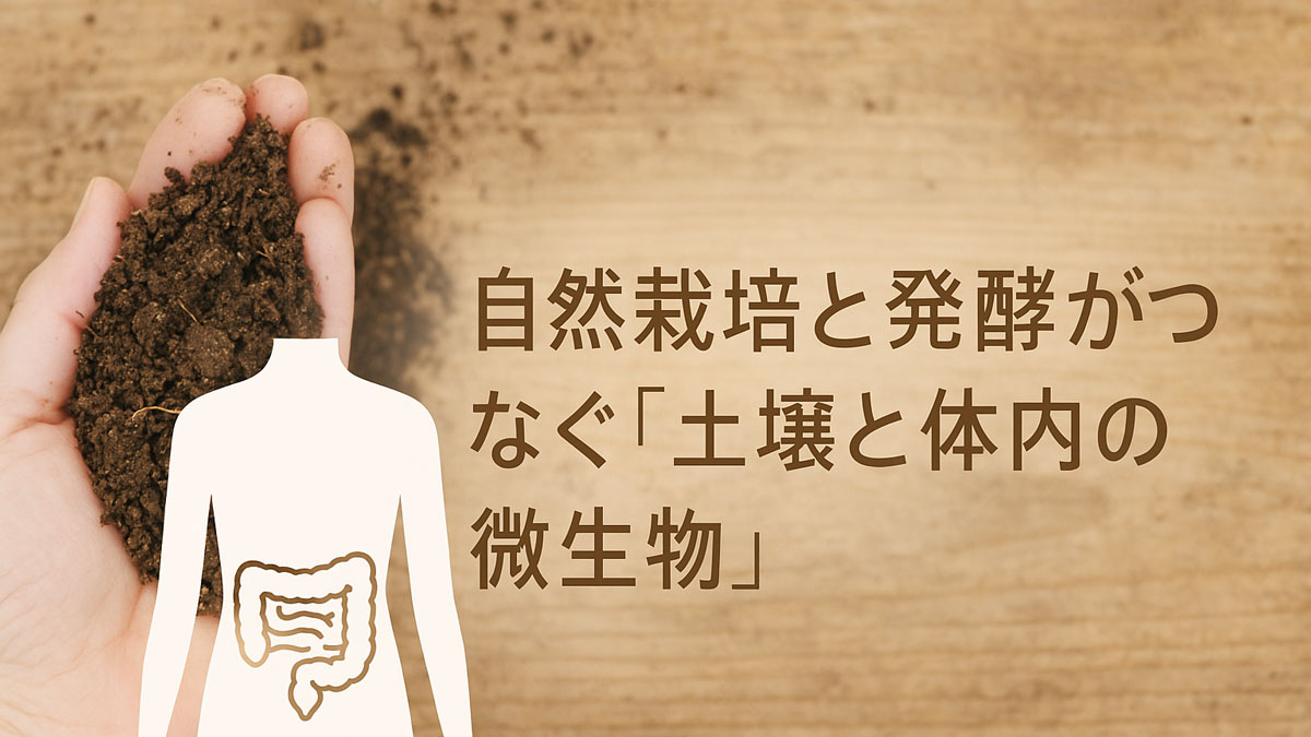 手に乗せた土と腸のイラストを重ね、「自然栽培と発酵がつなぐ『土壌と体内の微生物』」のテキストが右寄せで配置された、微生物の共生をやさしく表現したイメージ画像。