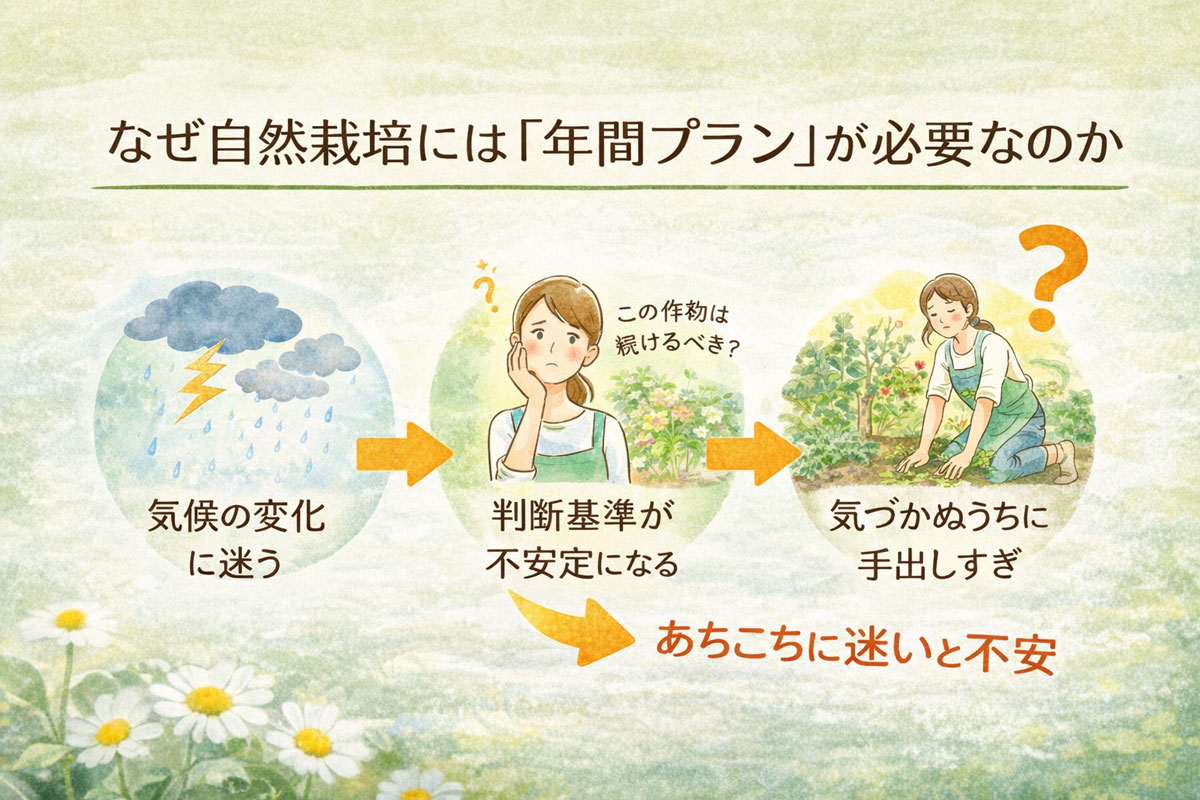 自然栽培で年間プランがない場合に起こりやすい迷いや不安を表した図解。気候変化に戸惑い、判断が不安定になり、気づかぬうちに手入れしすぎてしまう様子をやさしいイラストで示している