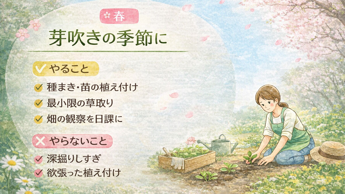 自然栽培の春の基本を示した図解。芽吹きの季節にやることとやらないことを、畑で苗を植える様子とともにやさしいイラストで分かりやすく表している