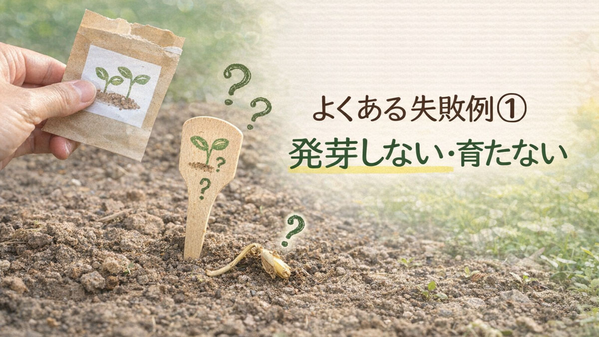 自然栽培で発芽しない・育たない失敗例を表した画像。芽が出ない土と種袋、枯れた芽を背景に「よくある失敗例① 発芽しない・育たない」という文字を配置したナチュラルな解説用ビジュアル